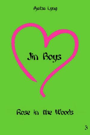 Book cover of Jin Boys Volume 3: Rose in the Woods