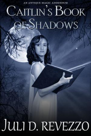 Book cover of Caitlin's Book of Shadows (Antique Magic #2)