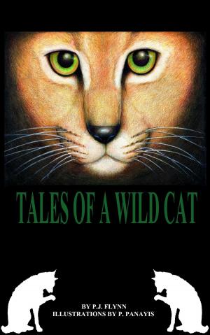 Book cover of Tales of a Wild Cat