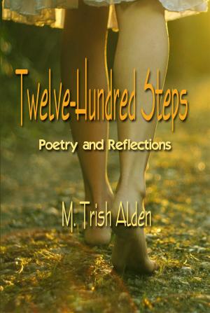Cover of the book Twelve-Hundred Steps by Gaelle Kermen
