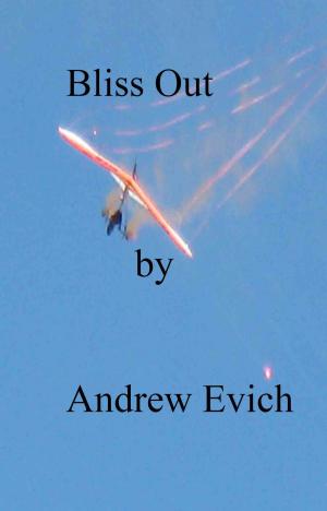 Cover of the book Bliss Out by Colin Rock