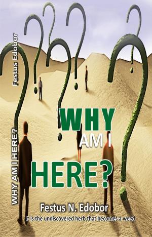 Cover of the book Why Am I Here? by David Guthrie