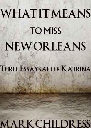 Book cover of What It Means to Miss New Orleans