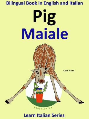 Book cover of Bilingual Book in English and Italian: Pig - Maiale. Learn Italian Collection.