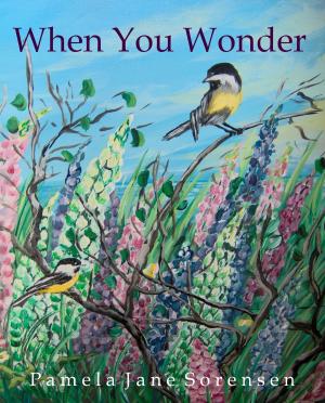 Cover of the book When You Wonder by Jesse Chamberlain