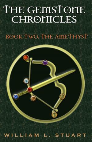 Cover of the book The Gemstone Chronicles Book Two: The Amethyst by Ubiquitous Bubba