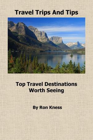 Cover of Travel Trips and Tips