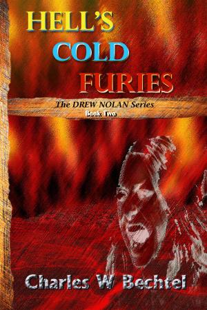Cover of the book Hell's Cold Furies by Eric Landreneau