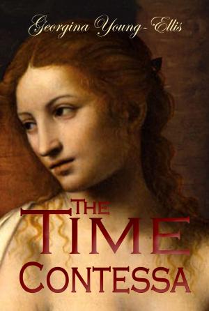 Book cover of The Time Contessa