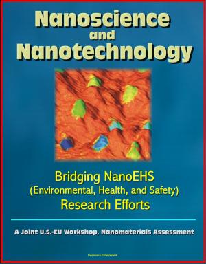 Cover of Nanoscience and Nanotechnology: Bridging NanoEHS (Environmental, Health, and Safety) Research Efforts: A Joint U.S.-EU Workshop, Nanomaterials Assessment