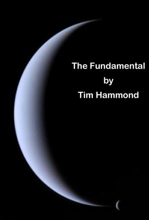 Cover of the book The Fundamental by B.A. Landtroop