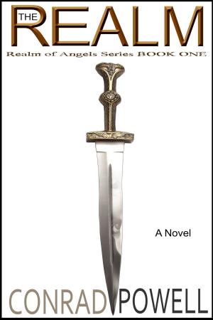 Cover of the book The Realm: A Novel (Realm of Angels Series, Book One) by Steven F. Deslippe