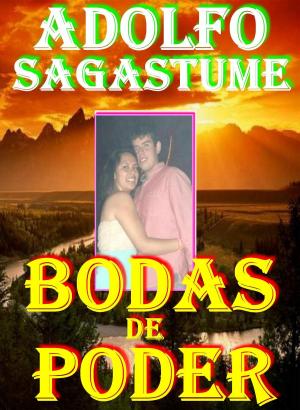 Cover of Bodas de Poder