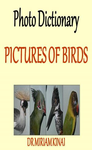 Cover of the book Photo Dictionary: Pictures of Birds by Miriam Kinai