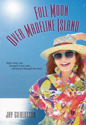 Cover of the book Full Moon Over Madeline Island by Attia Hosain