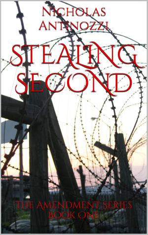 Cover of the book Stealing Second by Nicholas Antinozzi