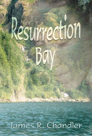 bigCover of the book Resurrection Bay by 