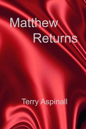 Book cover of Matthew Returns