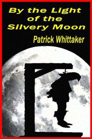 Book cover of By the Light of the Silvery Moon
