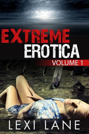 Cover of Extreme Erotica