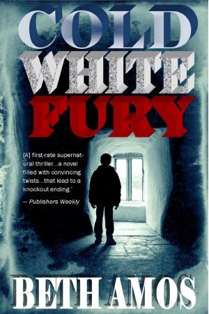 bigCover of the book Cold White Fury by 