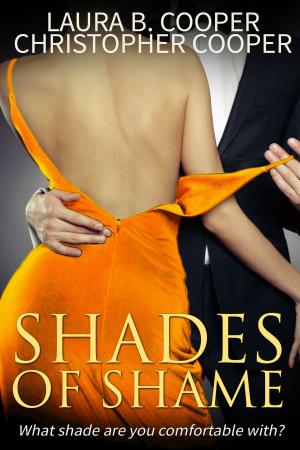 Cover of Shades of Shame (Erotic Romance / Love Triangle / Love Story / Romantic Suspense)
