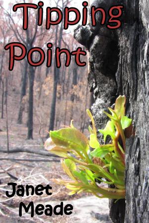 Book cover of Tipping Point
