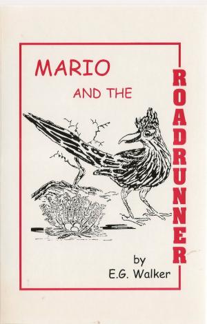 Book cover of Mario and the Roadrunner