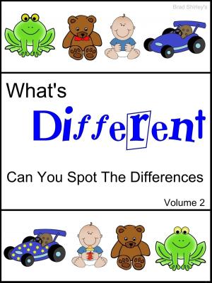 Cover of the book What's Different (Can You Spot The Differences) Volume 2 by Brad Shirley