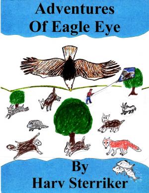Cover of the book Adventures of Eagle Eye by André Laurie