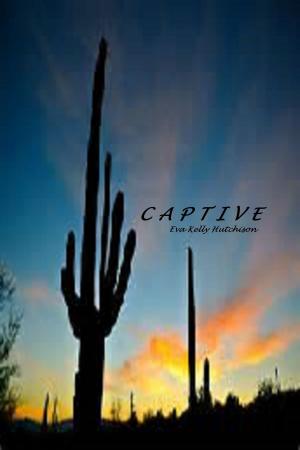 Book cover of Captive