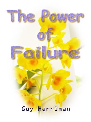 Cover of the book The Power of Failure by Allie Rothberg