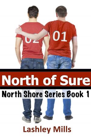 Cover of the book North of Sure by Lisa Walker, Adrian Coyne