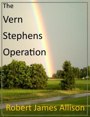 Book cover of The Vern Stephens Operation