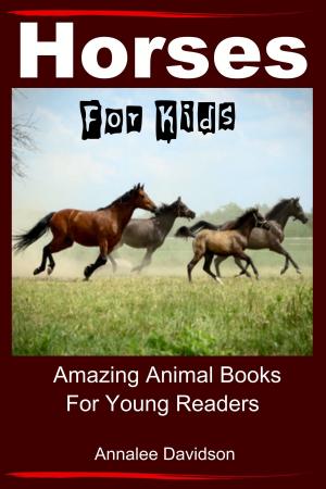 Cover of the book Horses: For Kids - Amazing Animal Books for Young Readers by Kim Chase, John Davidson