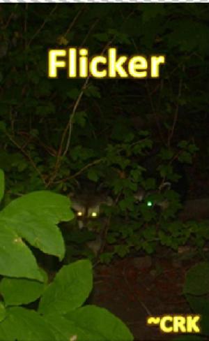 Cover of the book Flicker by Brian O'Donnell.