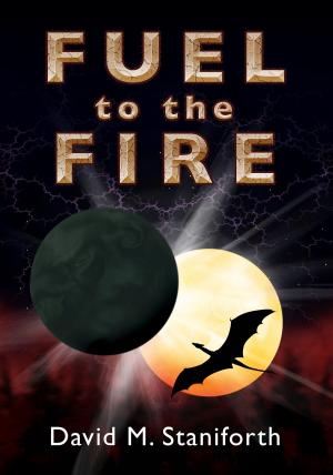 Cover of the book Fuel to the Fire by Mirren Hogan