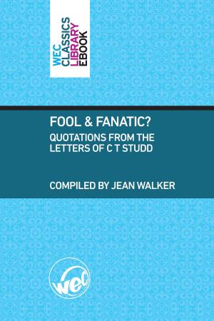 Cover of Fool and Fanatic?