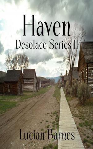 Cover of the book Haven: Desolace Series II by Jeremy D. Hill