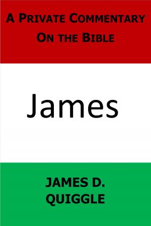 Cover of the book A Private Commentary on the Bible: James by James D. Quiggle
