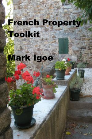 Cover of the book French Property Toolkit by Chris Stahl