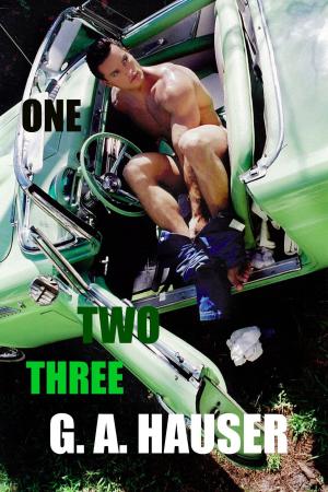 Cover of the book One, Two, Three by Tricia Owens