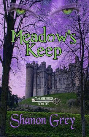 Cover of the book Meadow's Keep by Tsuyuki Arumaya