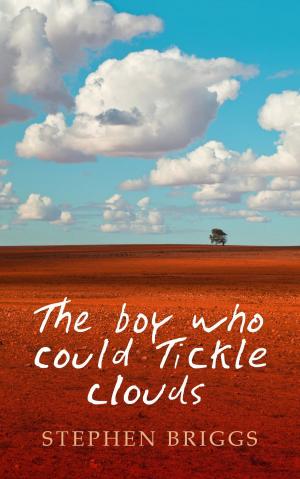 Book cover of The Boy Who Could Tickle Clouds