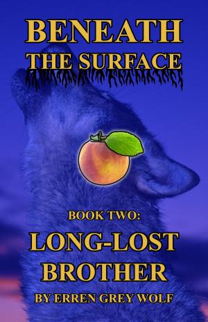 Cover of the book Beneath the Surface: Long-Lost Brother (Volume 2) by S R Manssen