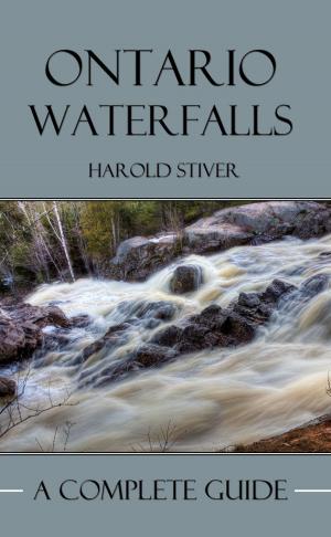 bigCover of the book Ontario's Waterfalls by 