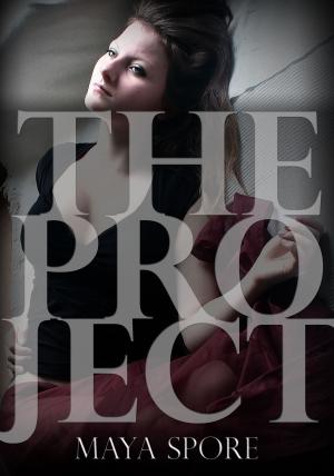 Book cover of The Project
