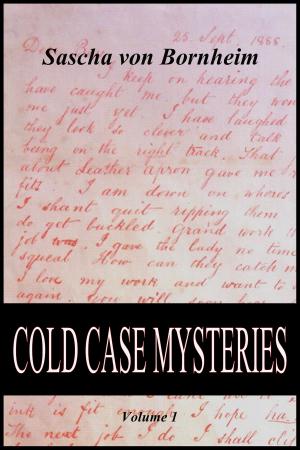 Book cover of Cold Case Mysteries: Volume 1