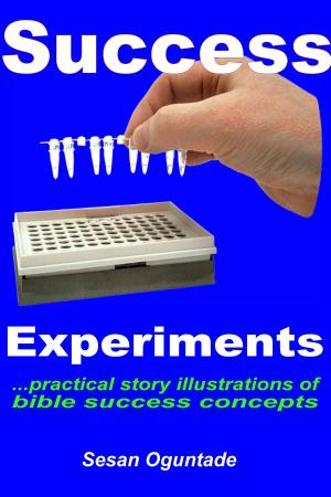 Cover of the book Success Experiments by Toyin Omoyeni