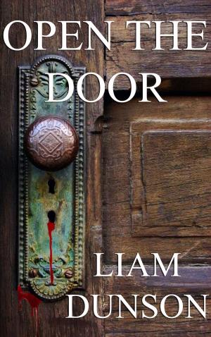 Cover of the book Open the Door by Lani Wendt Young